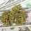UM study makes a case for legalizing marijuana